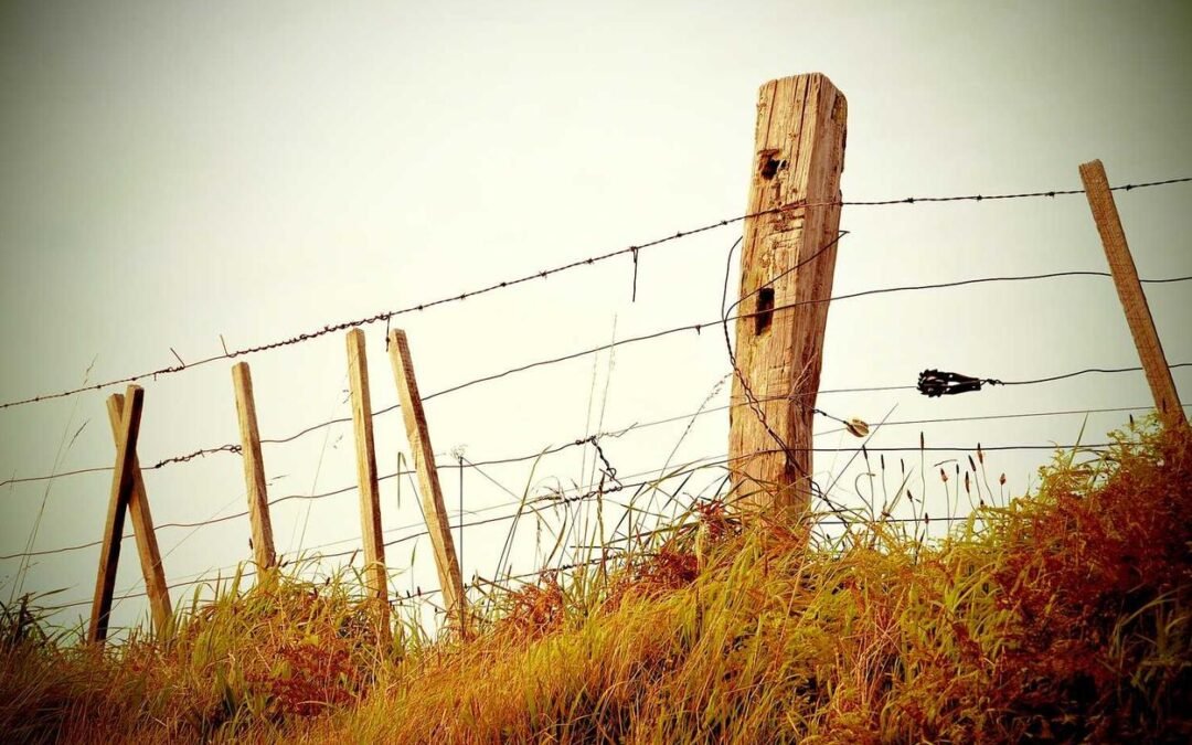 Ut ipsam cumque cupiditate vitae