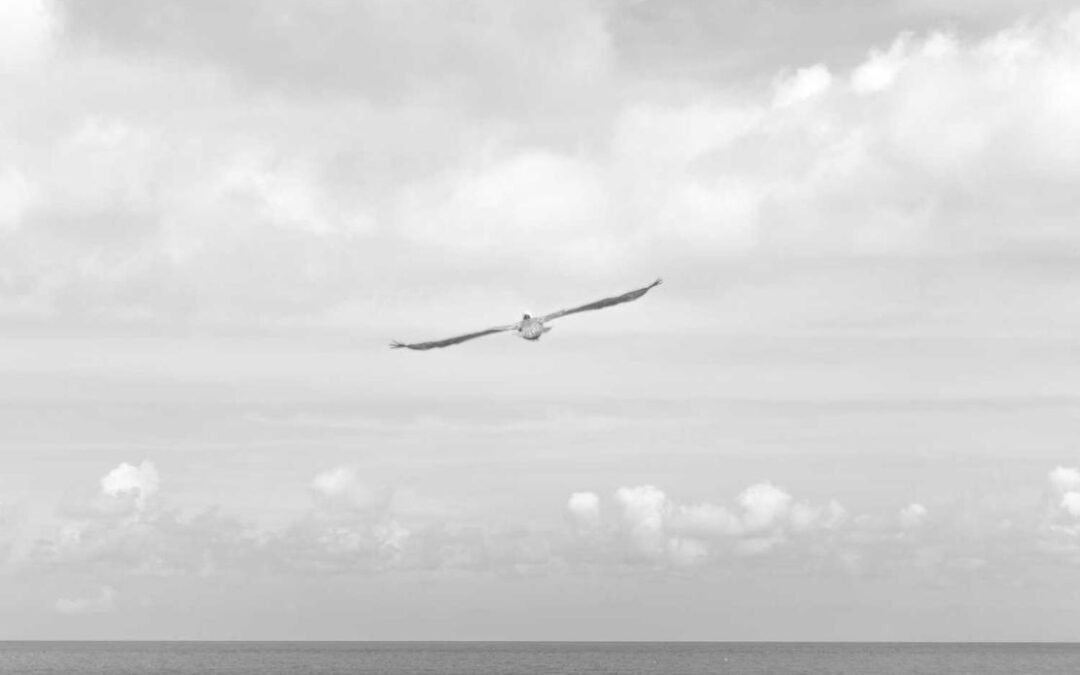 Nesciunt modi rem occaecati perspiciatis