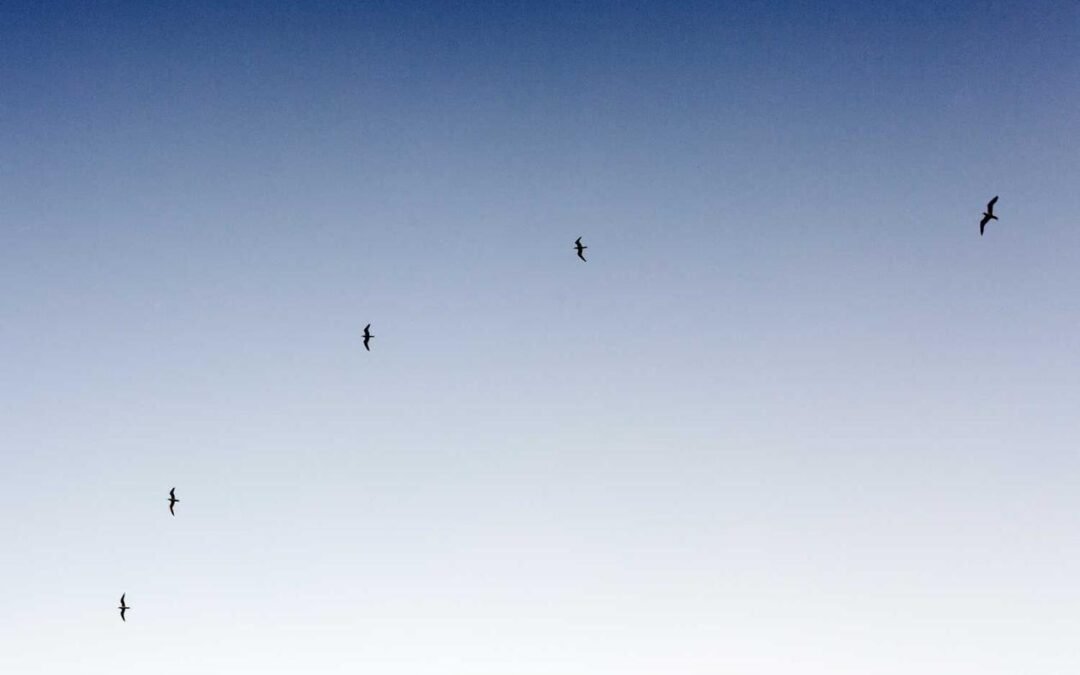 Sunt cumque vel dicta rerum veniam