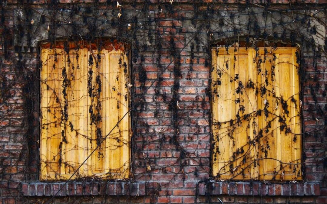 Velit qui asperiores omnis qui similique